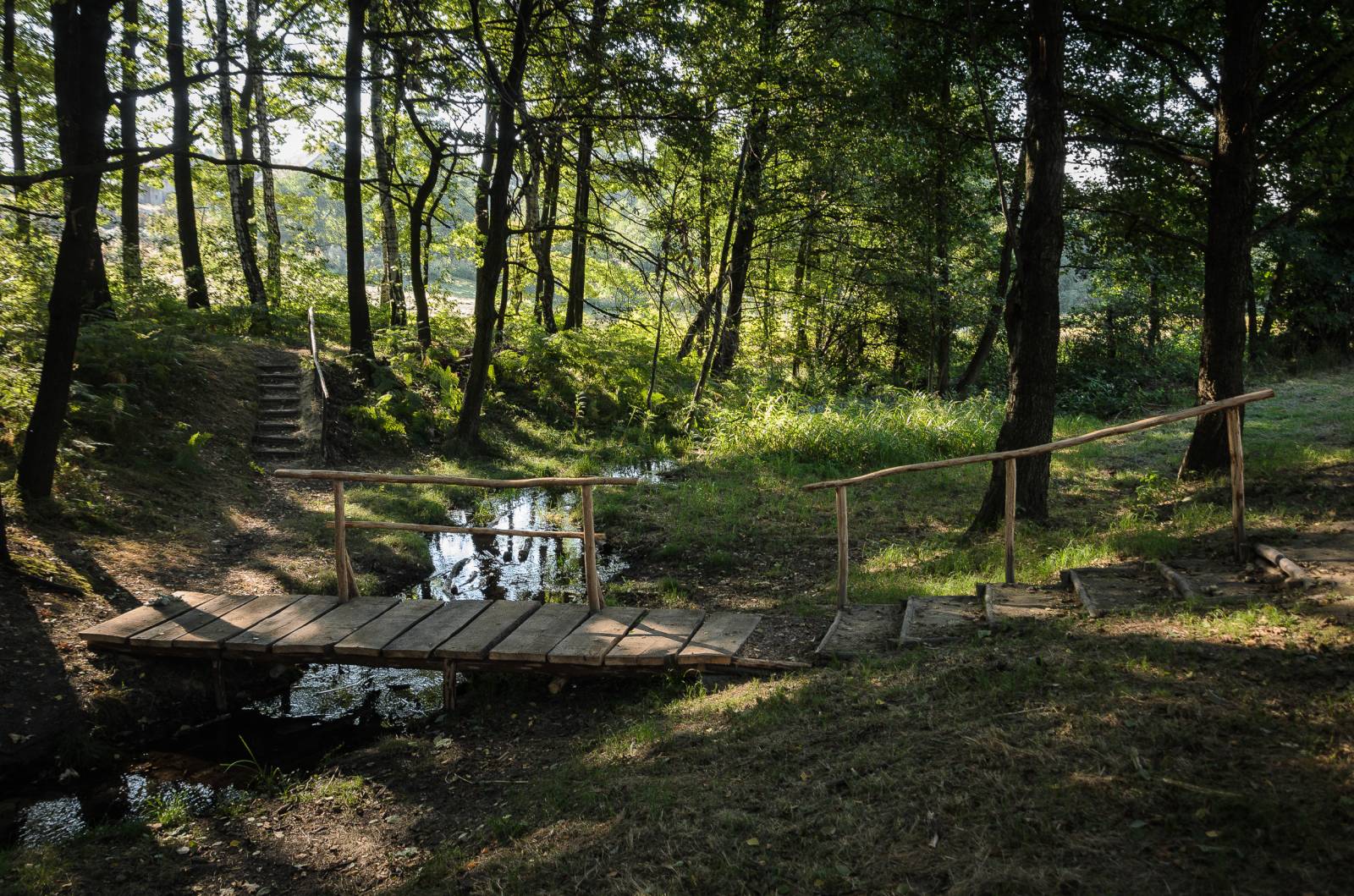 Photo of 
            Sports and Recreational Complex in Skrbeńsko